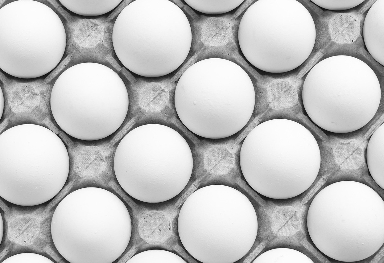 indoor microgreens vertical rack trays